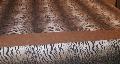 Queen-vuoteet, 55 'TV, WiFi, lähellä Napervillen keskustaa