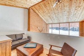 TV, fireplace, books