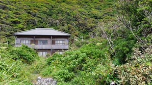 A two-story wooden house with a balcony, surrounded by dense green vegetation and hills in the background. - Misaki Kanko Hotel (Muroto)