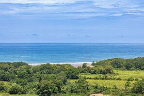 Perto da praia, espreguiçadeiras, toalhas de praia 