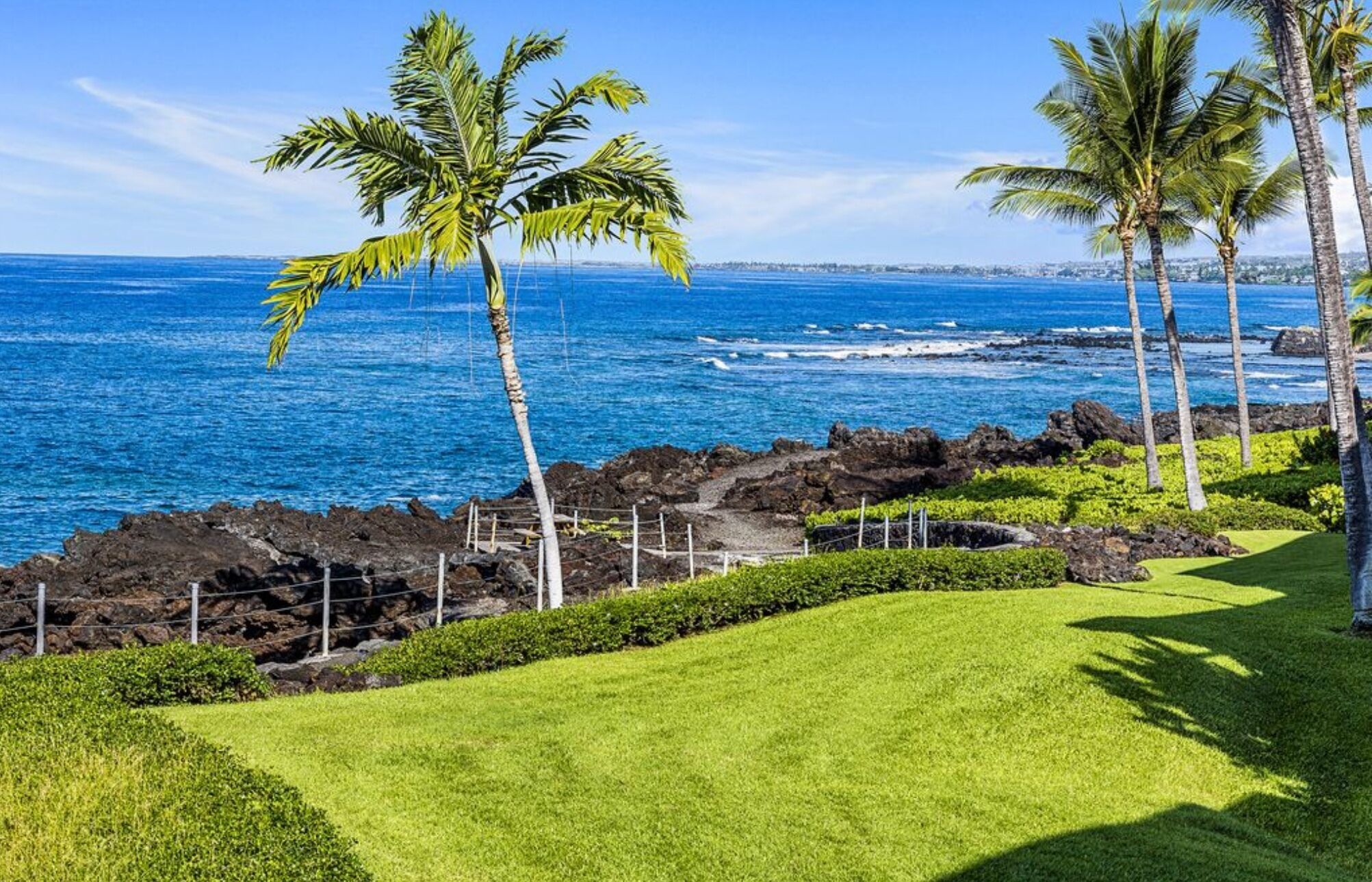 A coastal landscape with a grassy area, palm trees, and a rocky shoreline.