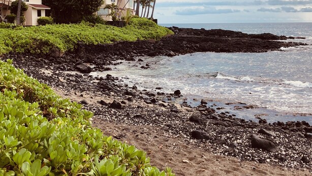 Une plage avec un rivage rocheux, des palmiers et un bâtiment doté d’un toit rouge.
