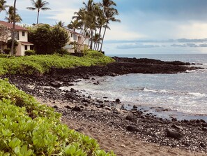 A beach with rocky shoreline, palm trees, and a building with a red roof. - 2Bd/2Ba Townhouse with full kitchen steps away from ocean (Kailua-Kona)