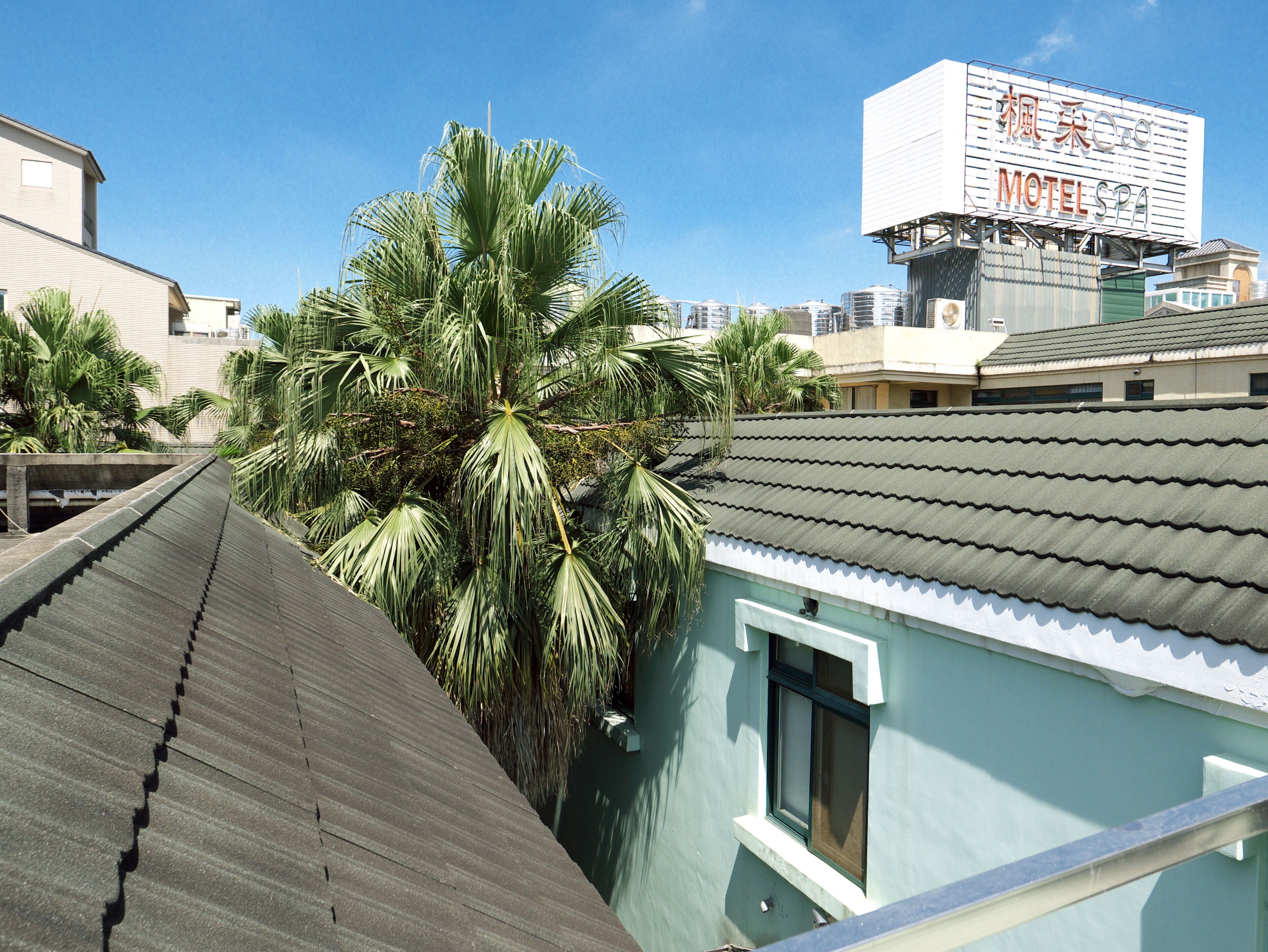 Un edificio con techo de tejas y una palmera en primer plano.