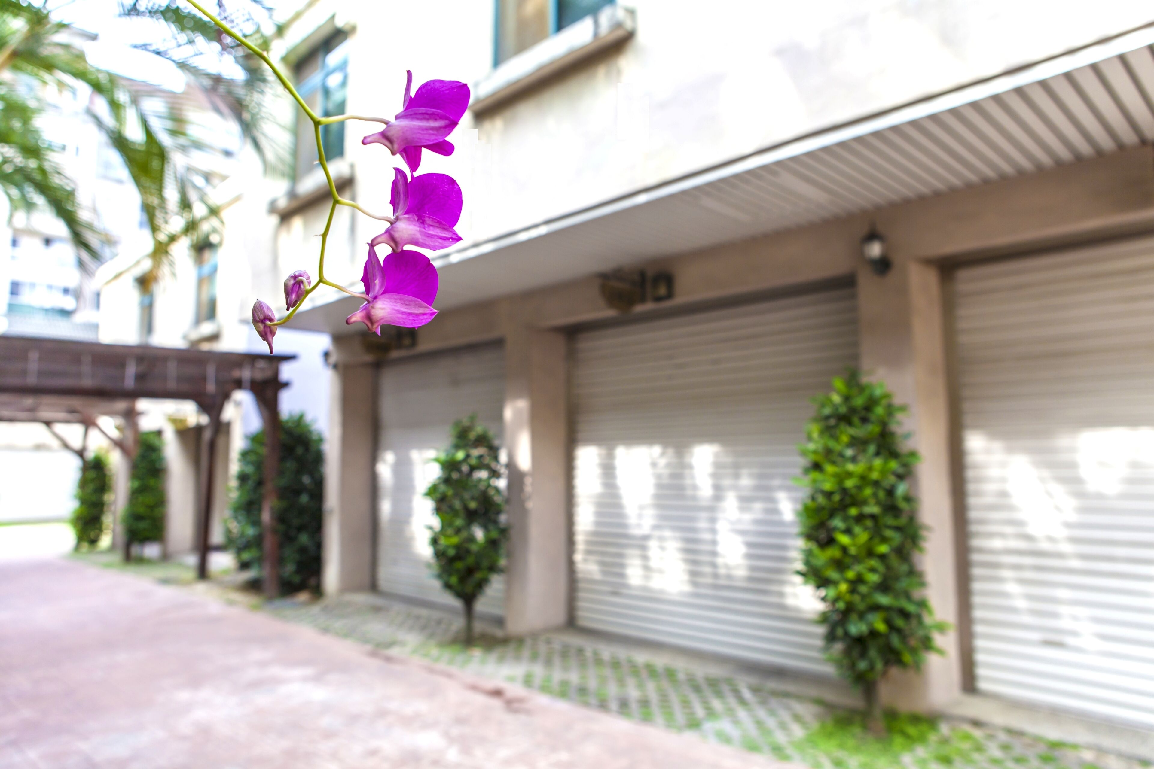 Un edificio con puertas de garaje cerradas, un corredor cubierto y pequeños árboles.