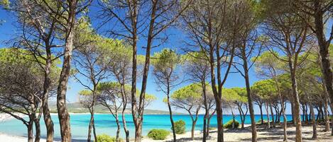 In Strandnähe, Strandtücher