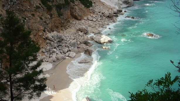Un paysage côtier avec une plage rocheuse, une eau turquoise et limpide, et un sentier bordé d’arbres.