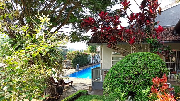 Um jardim bem cuidado com piscina, uma estátua e diversas plantas.
