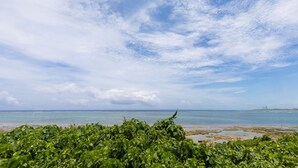 Private Vacation Home | Beach/ocean view - Sea Terrace Hanaasagi (Ishigaki)