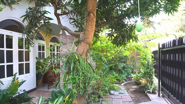 A garden with a tree, a brick pathway, and a white building with arched windows. - Kanti Kinasih Homestay by The Grand Java (Yogyakarta)