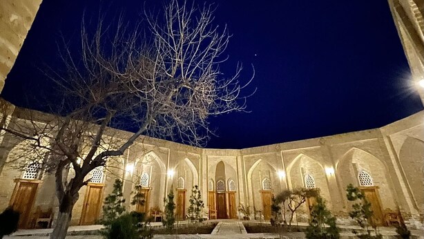 Un patio con un árbol, un sendero y un edificio con ventanales y puertas arqueadas.