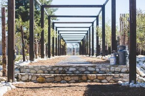 Property grounds - The Farmstead Franschhoek (Franschhoek)