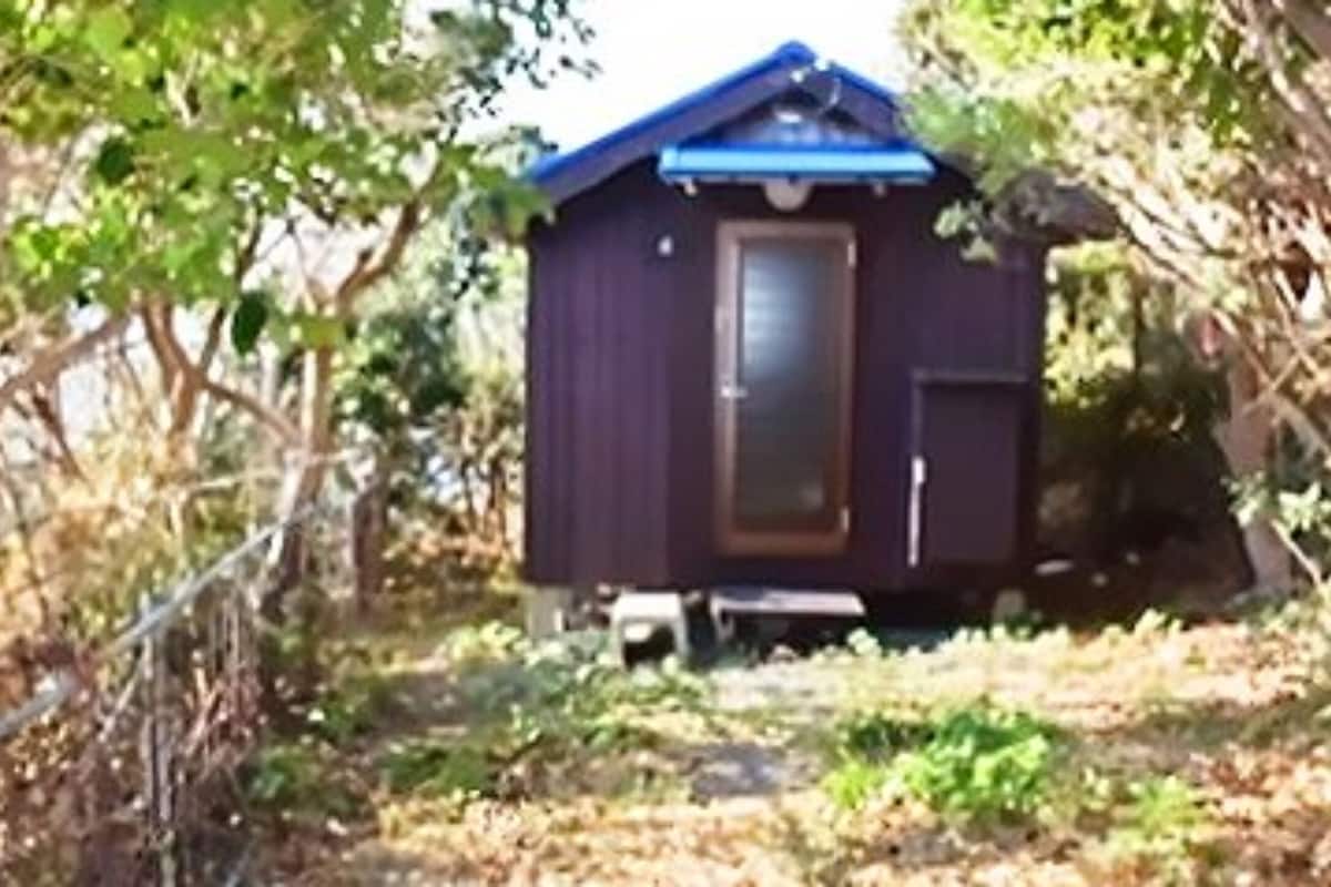 Eine kleine, dunkel gefärbte Holzhütte mit blauem Dach, umgeben von Bäumen und einem Zaun.