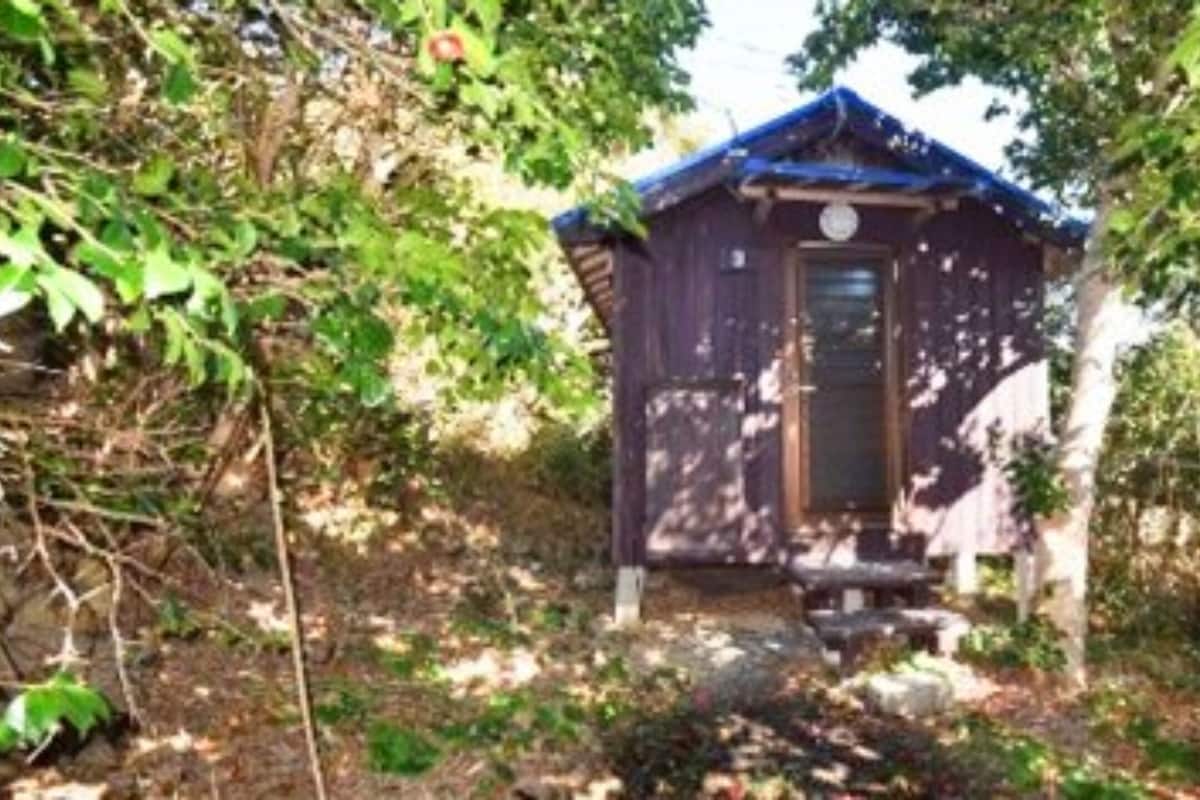 Eine kleine Holzhütte mit blauem Dach, umgeben von dichtem Grün.