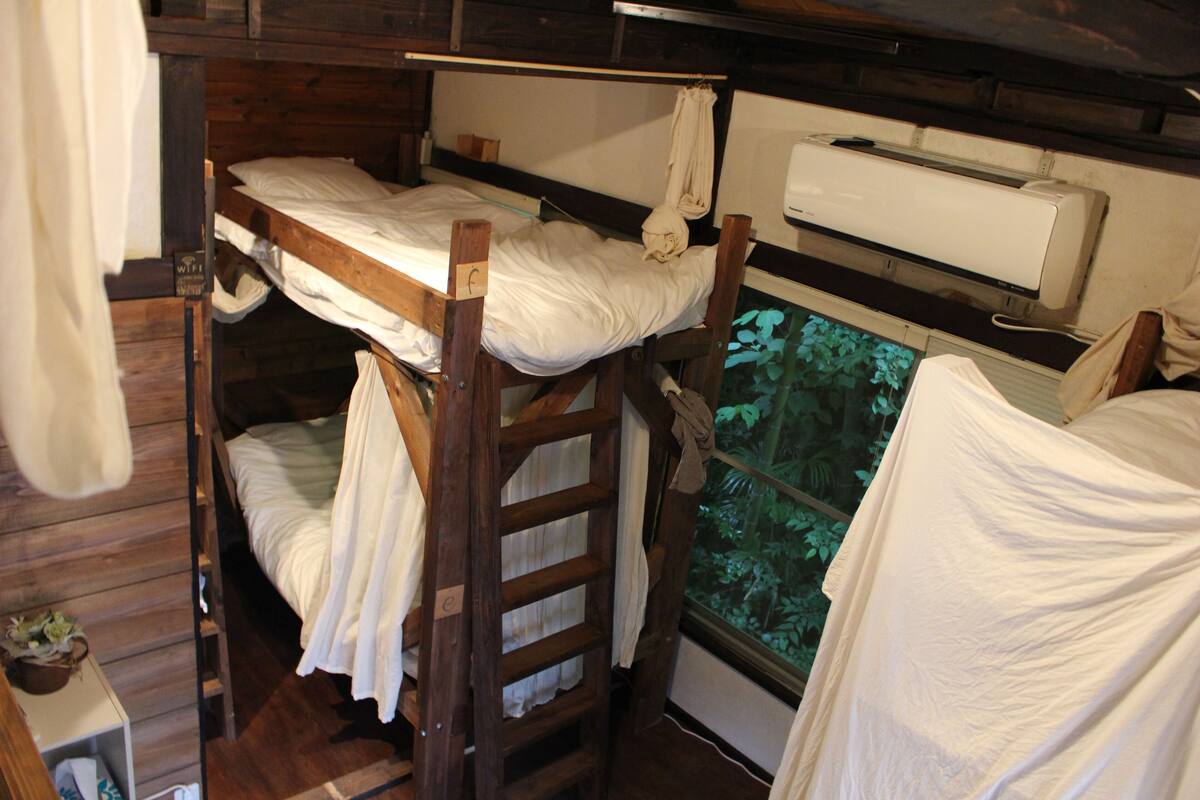 Shared Dormitory, Mixed Dorm
