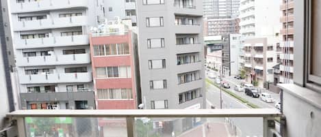 Apartment 501 | Balcony view