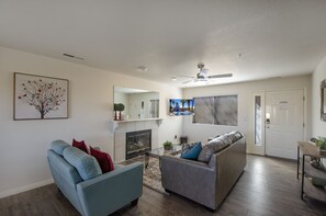 TV, fireplace, ping pong, books