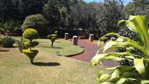 A well-maintained garden with neatly trimmed hedges, a pathway, and a variety of plants.