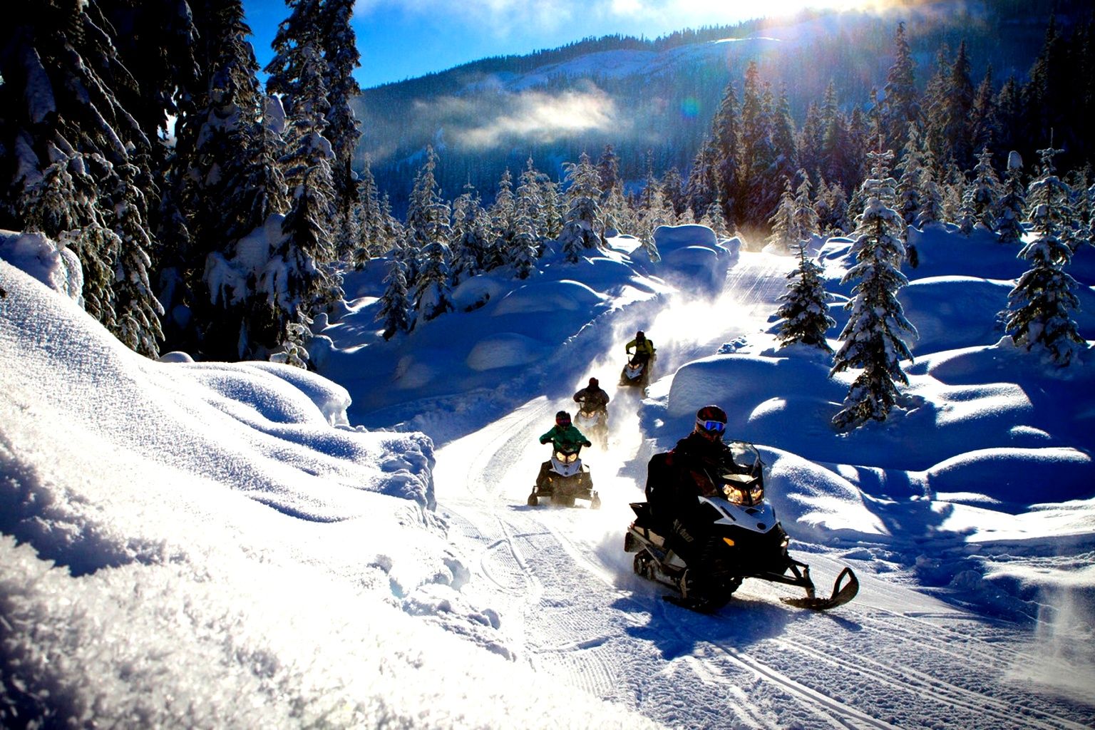 Snø- og skisport