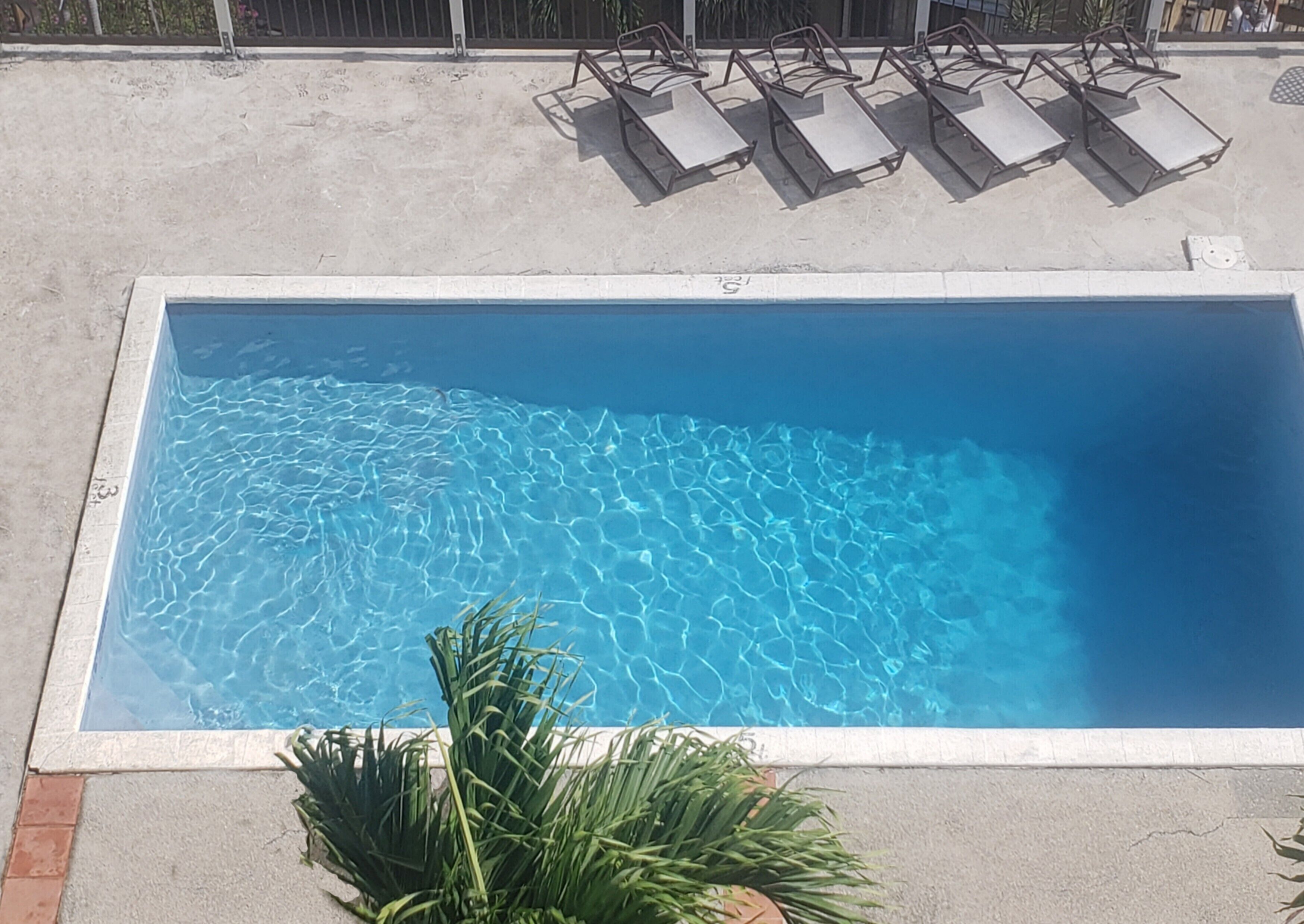 Una piscina rectangular con agua cristalina y un borde de hormigón.