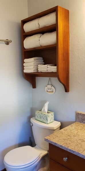 Shower, hair dryer, towels, soap - A very special condominium just minutes from Cruz Bay! (St. John)