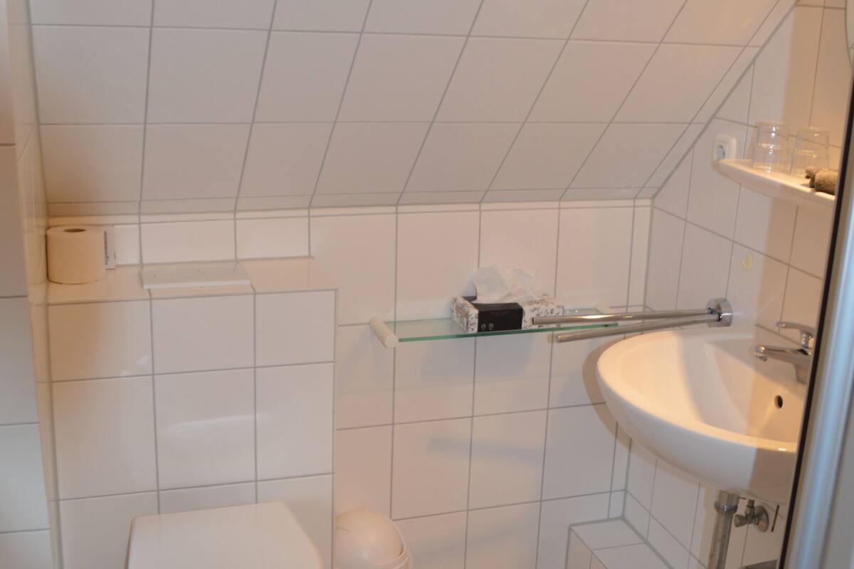standard double room | bathroom | shower, hair dryer, towels