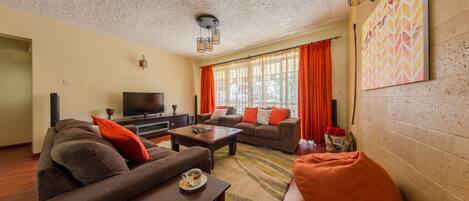 55-inch TV with satellite channels, Netflix, streaming services