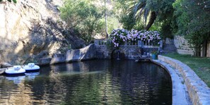 A tranquil outdoor pool area with a stone wall, a small waterfall, and pink flowers.