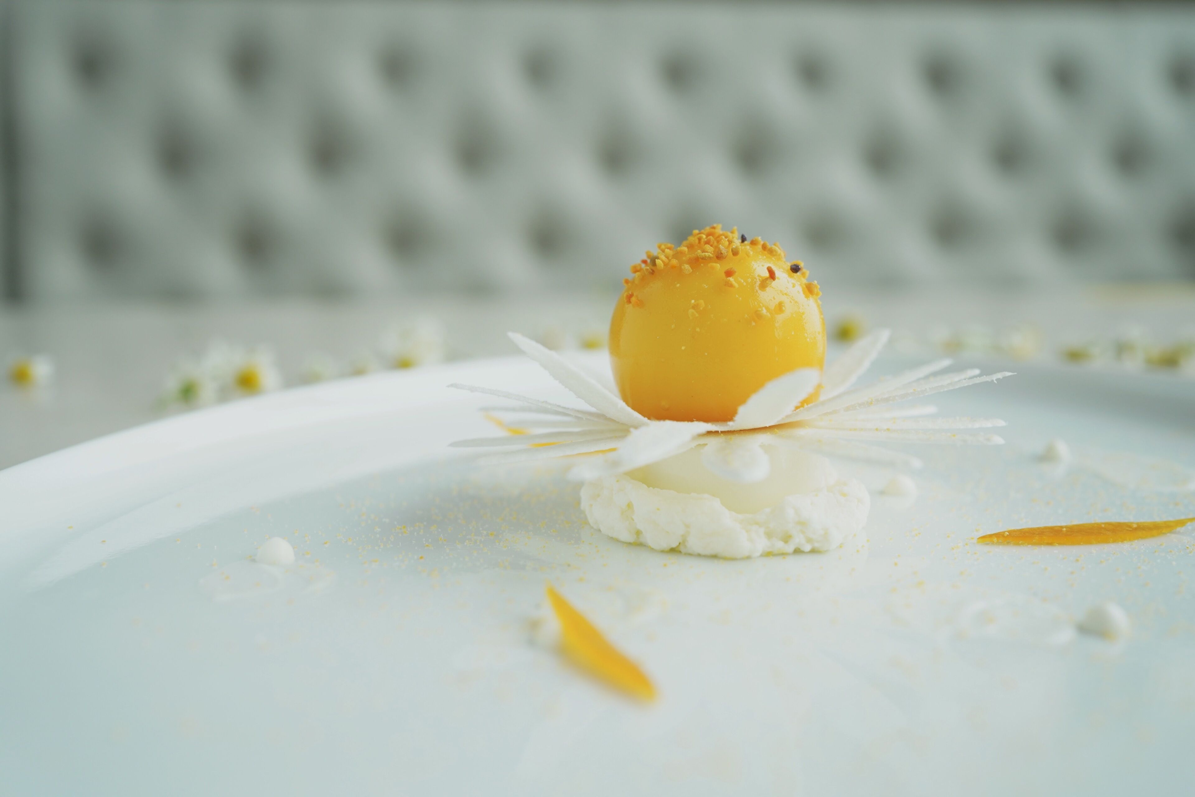 Een dessert op een bord, met een witte achtergrond.