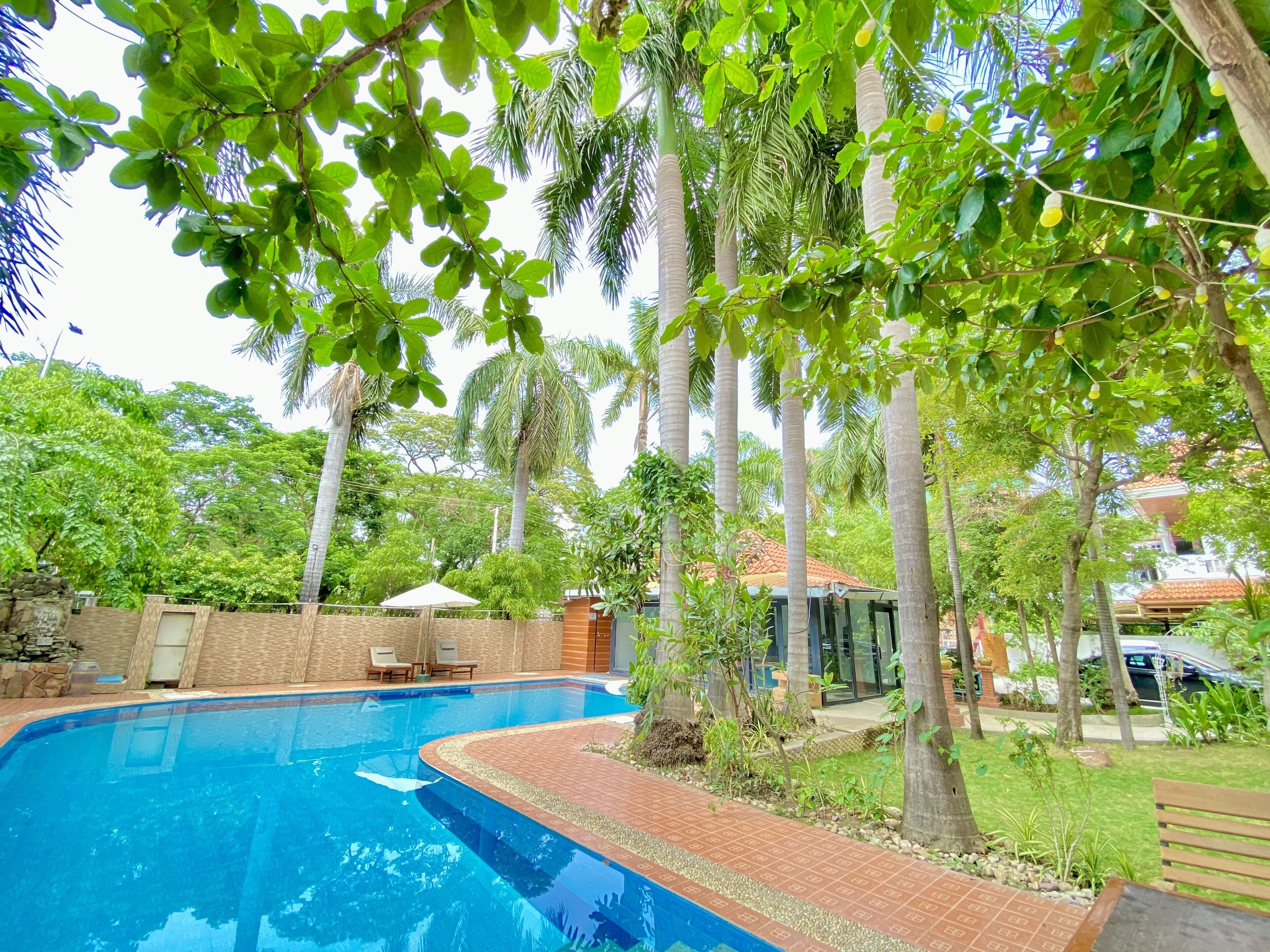 A swimming pool surrounded by lush greenery and palm trees, with a brick pathway leading to a covered seating area.