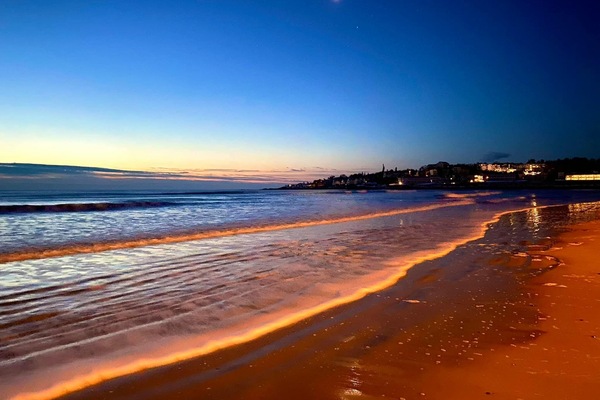 Beach nearby, sun-loungers