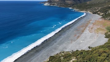 Lettini da mare