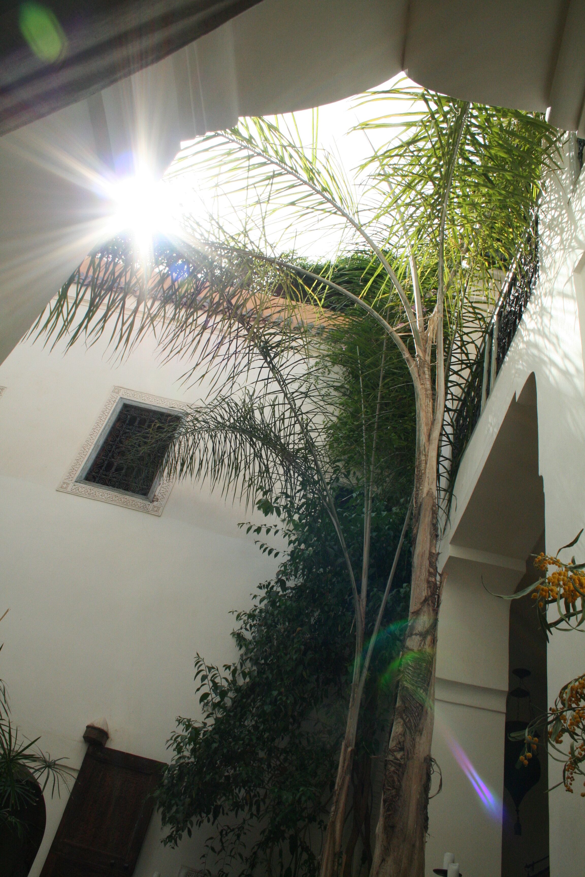 Foto - Riad Dar Oulhoum