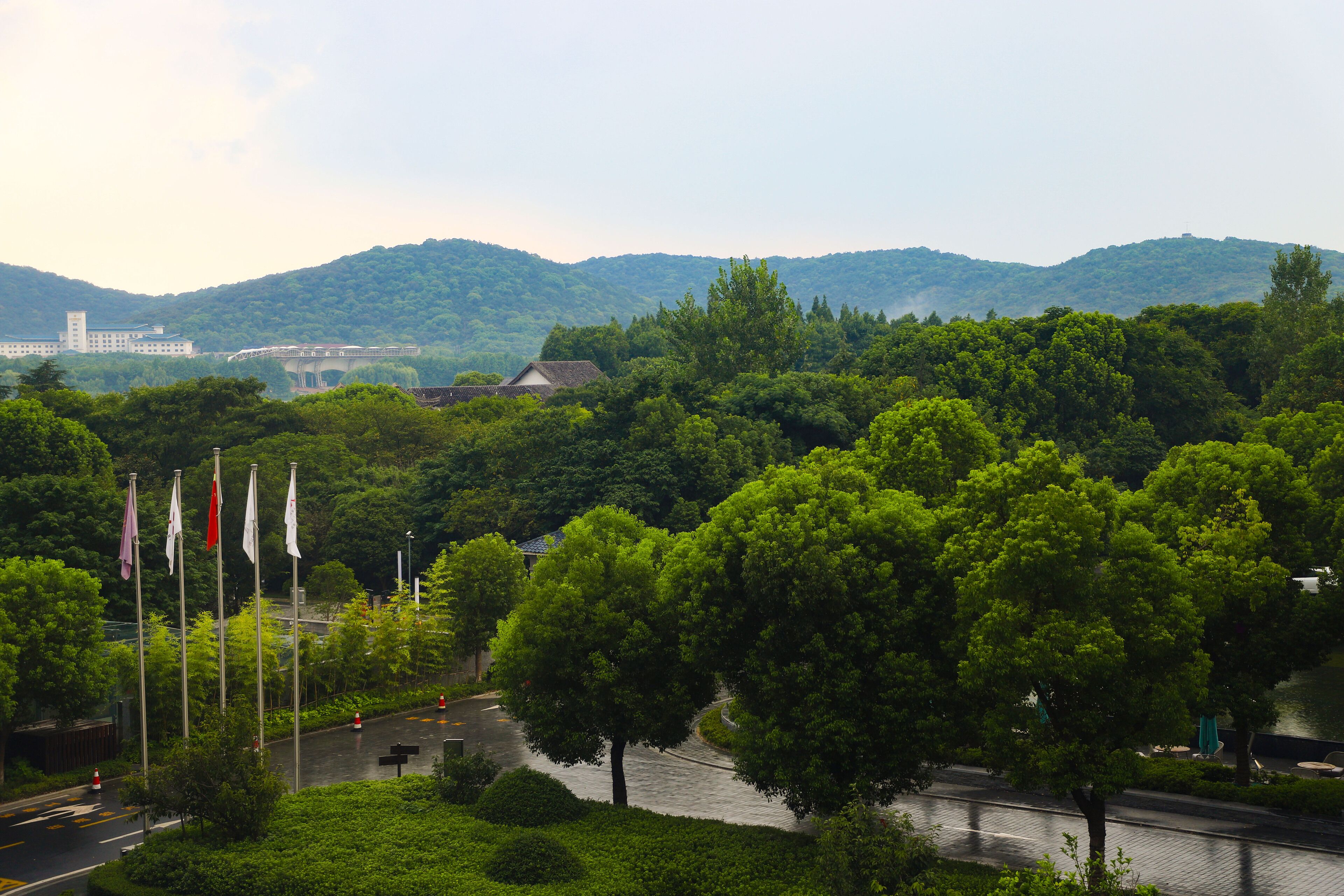 A lush green landscape with a road, trees, and a bridge in the background.