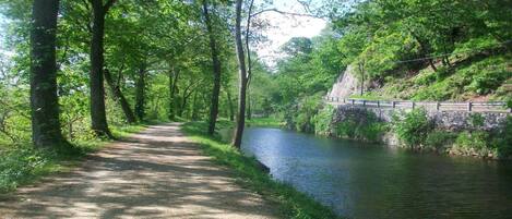 Un sendero pavimentado junto a un río tranquilo, bordeado por vegetación exuberante y un puente de piedra.