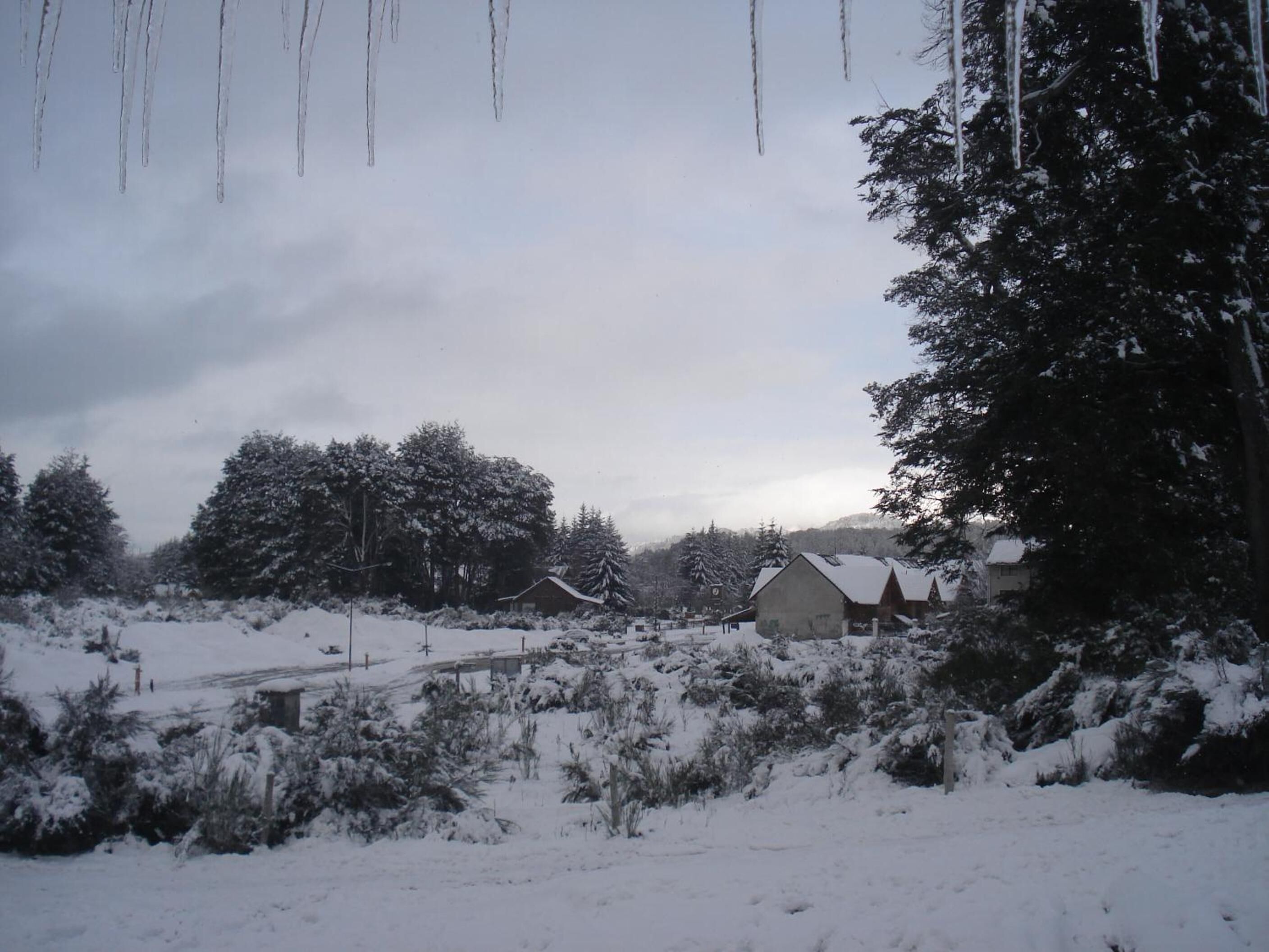A snow-covered landscape with buildings and trees.