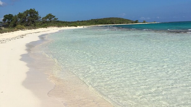 A beach with clear turquoise water, white sand, and green vegetation.