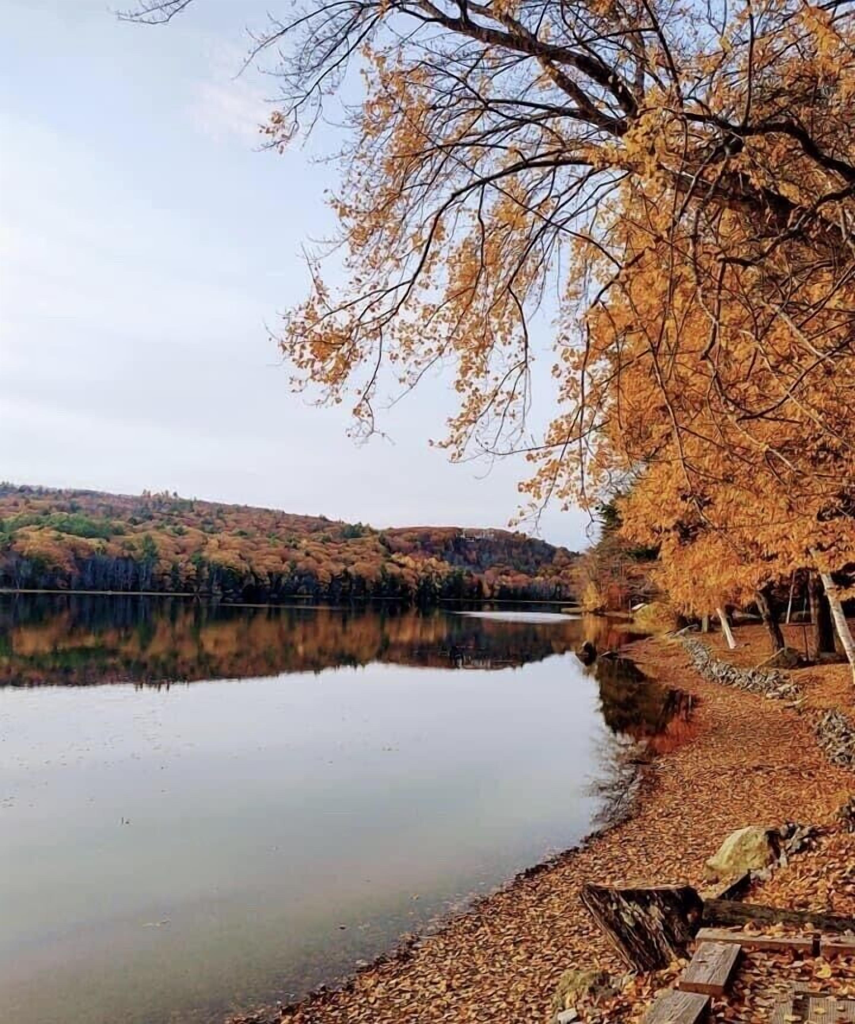 Visit the Maine Cabin Masters<br>Enjoy 20% off 7 night stay this fall 🍁