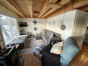 Smart-tv, pejs, videospil, dvd-afspiller