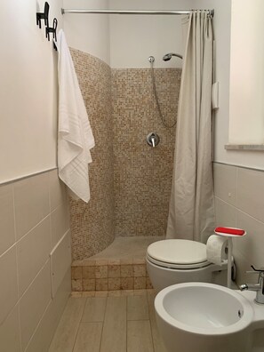 Ducha, secador de pelo, bidé y toallas