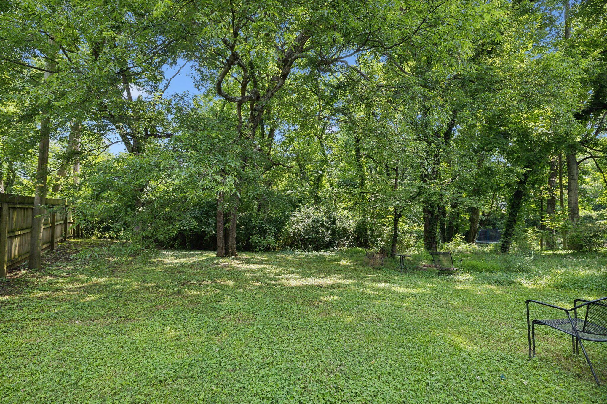 A grassy backyard with trees and a bench.