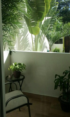 Exclusive Apartment | Courtyard view - Casa Mi Playa (Playa del Carmen)