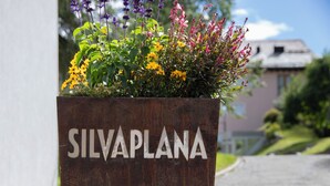 A planter with the text "SILVAPLANA" and a variety of colorful flowers.