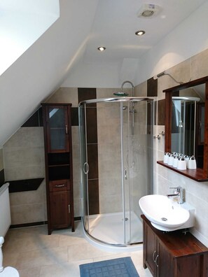 Shower, hair dryer, toilet paper