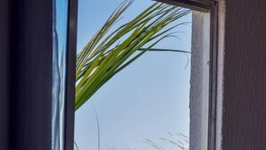 A window with a view of a palm tree.