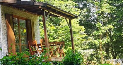 Cottage du lac de Chaumeçon avec étang privé