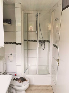 Shower, hair dryer, toilet paper