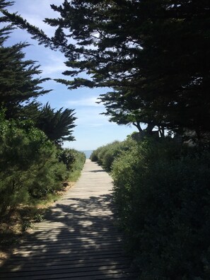A wooden boardwalk surrounded by dense greenery and trees, leading towards a body of water.