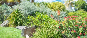 Villa Corail Blanc 4 *, a dream view at Domaine Bonheur Indigo!