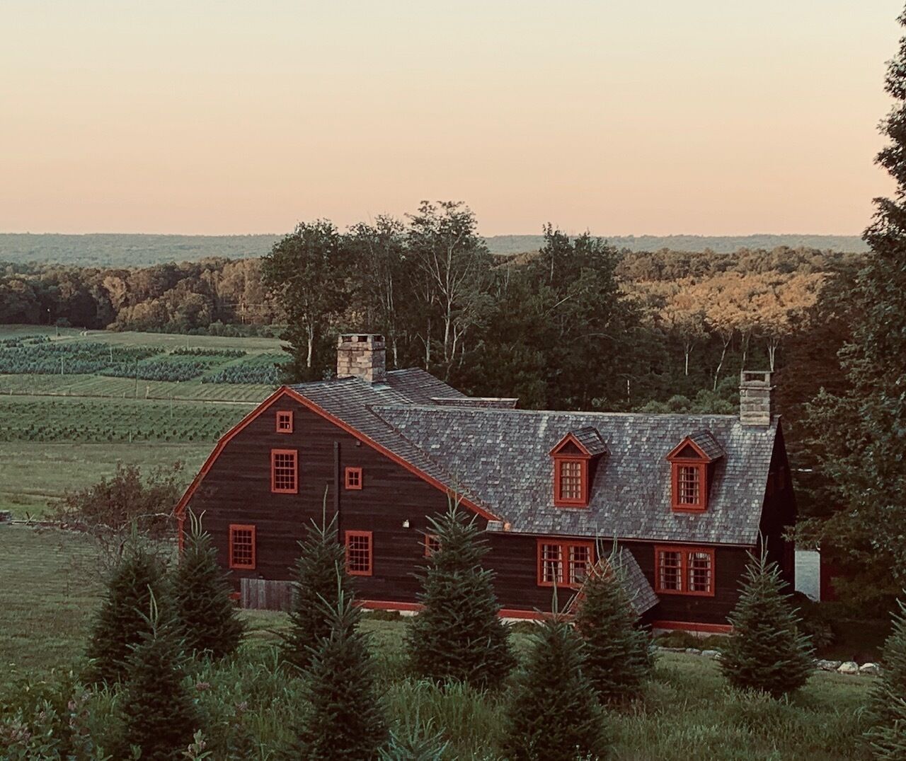 Griswold Bed and Breakfast's main character